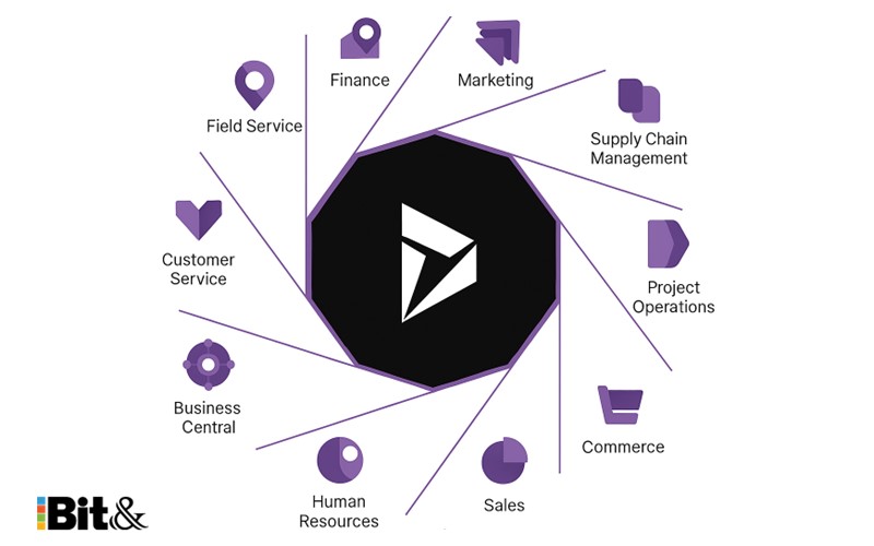 انواع ماژول مایکروسافت داینامیک