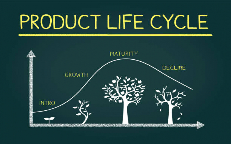 چرخه عمر محصول چه استراتژی هایی دارد؟