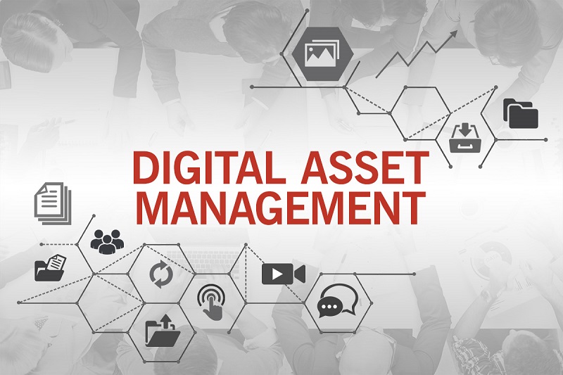 مدیریت بر دارایی دیجیتال
